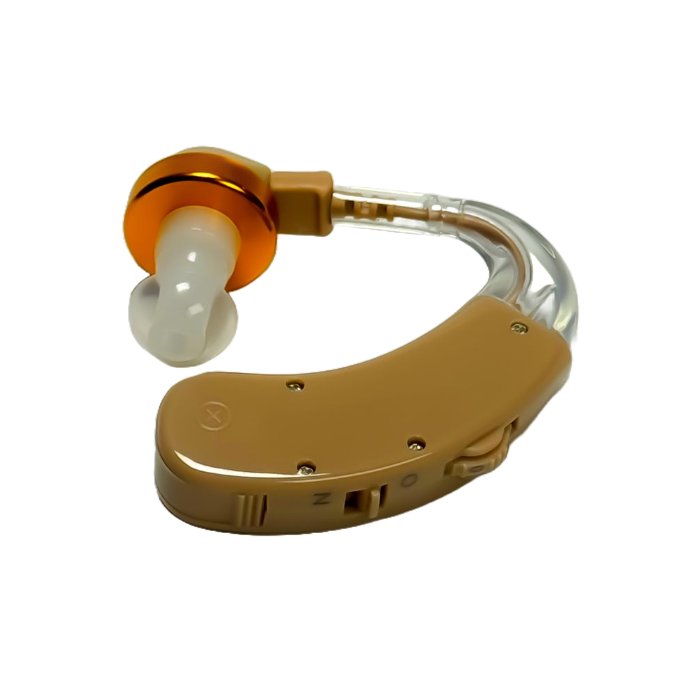 Hearing Aid (V163)