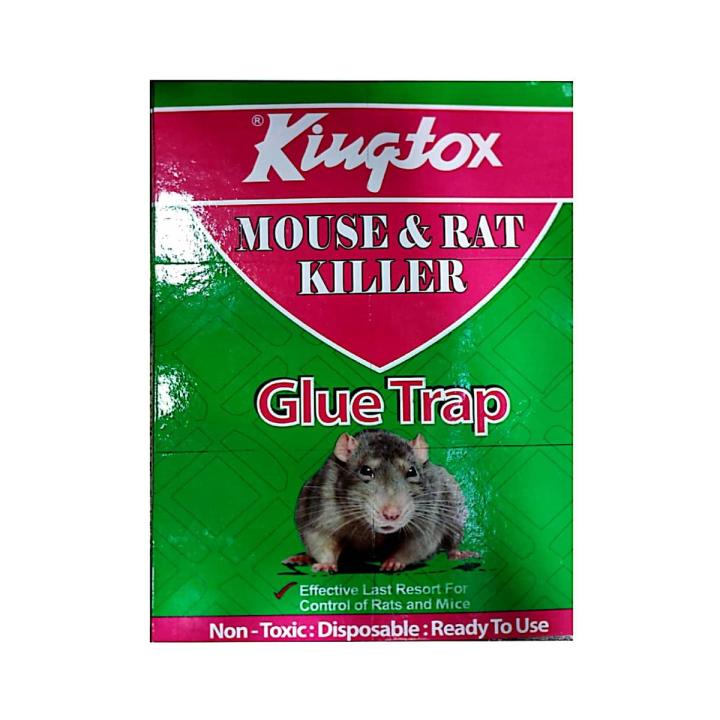 Kingtox Glue Trap Mouse & Rat Killer