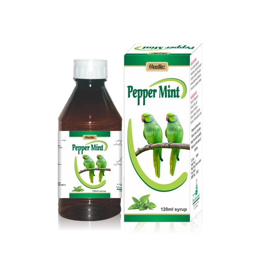 Peppermint Syp 120Ml