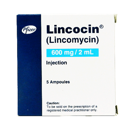 Lincocin (600mg/2Ml) 5 Ampoule Injections