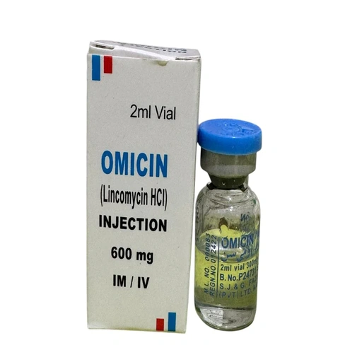 Omicin (600mg) 2Ml, 1 Vial Injection