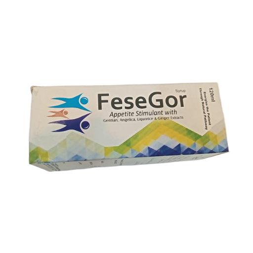 Fesegor Syp 120Ml