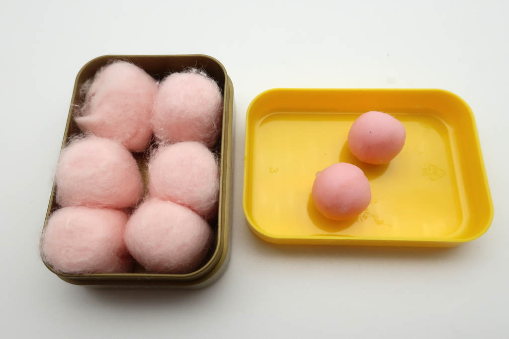 Wax Ear Plug